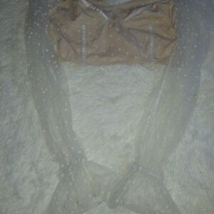 Elegant Sheer Polka Dot Crop Top